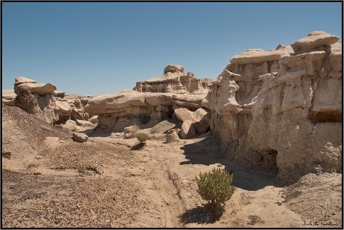 Bisti Badlands 2
