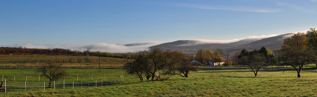 Farm & Fog