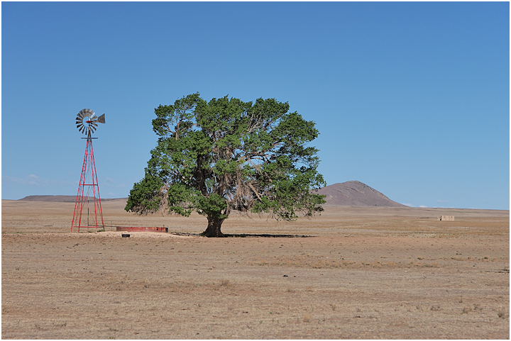 West Texas Watering Hole