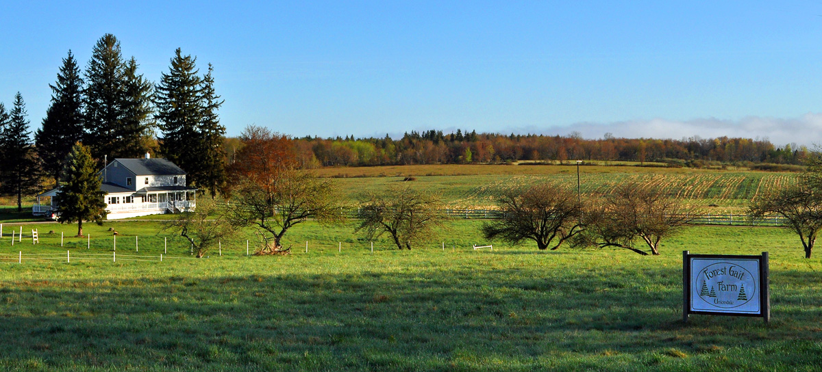 Forest Gait Farm
