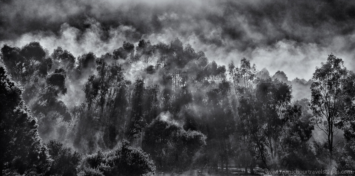 Vapour (View larger please)