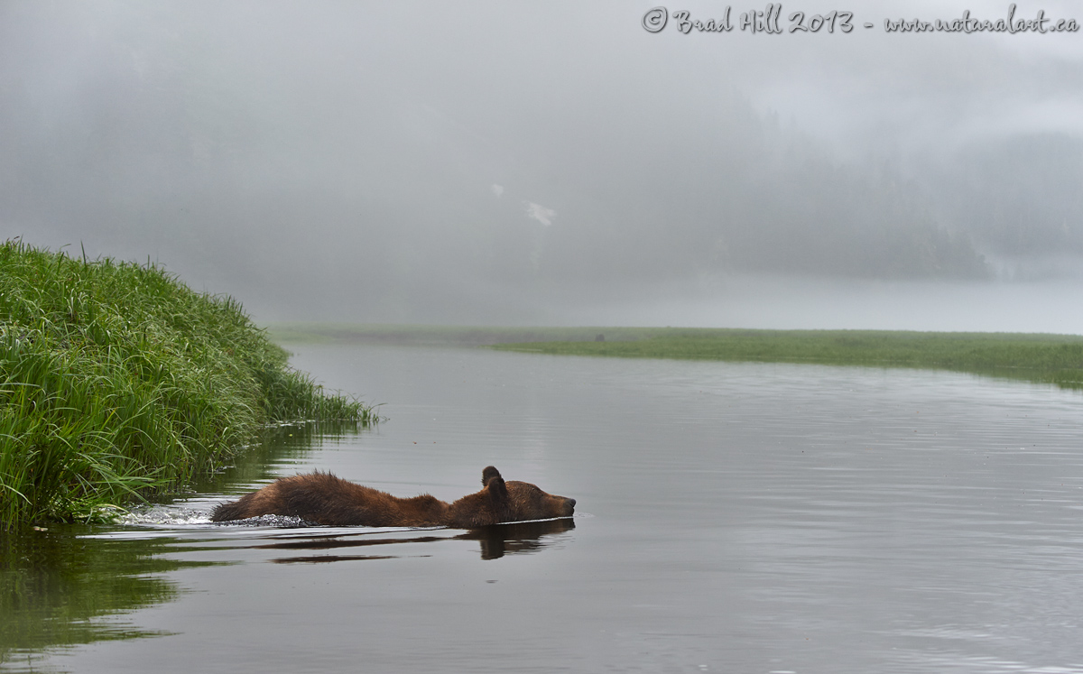 Tranquility