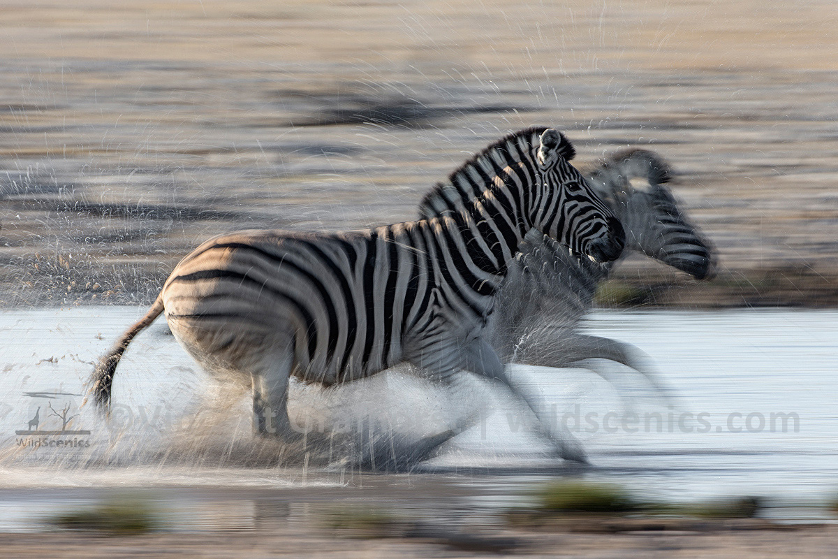 Pan-blur splash
