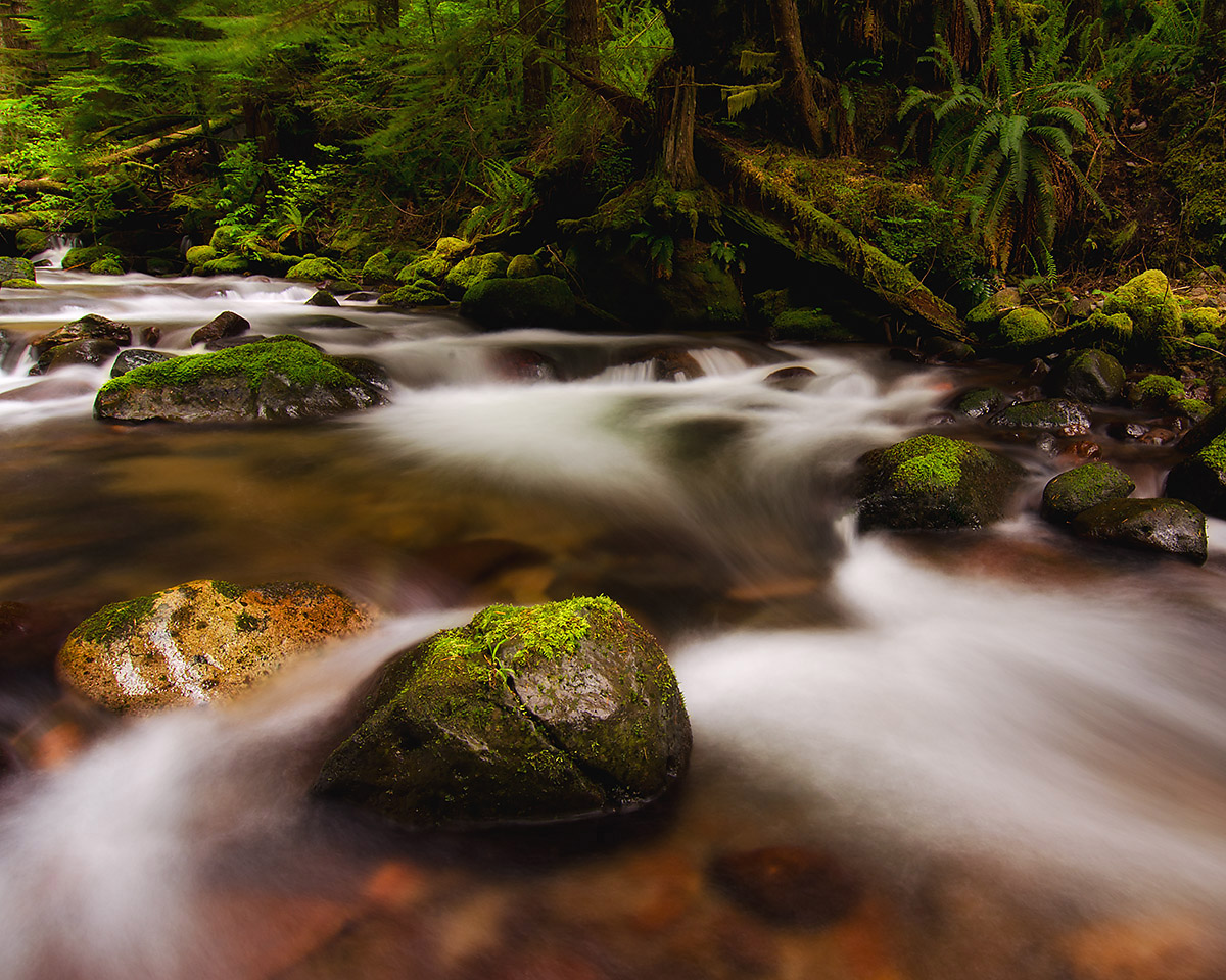 White River Tributary