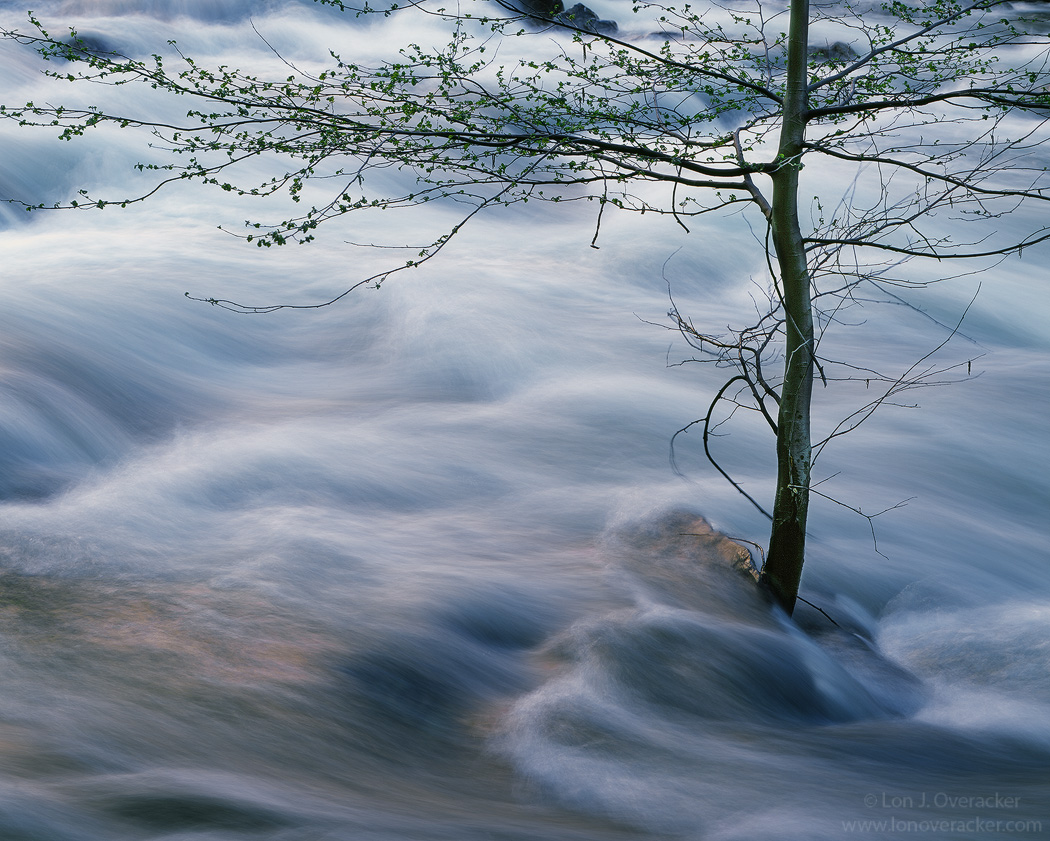 In the Flow V