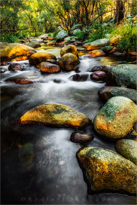 Morning At Mt Barney Cre