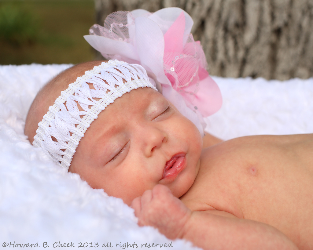 Newborn 'Dream' Girl