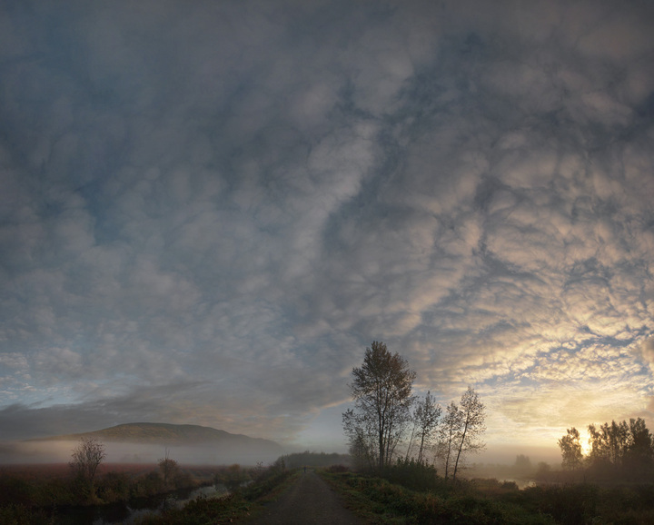 Early Morning