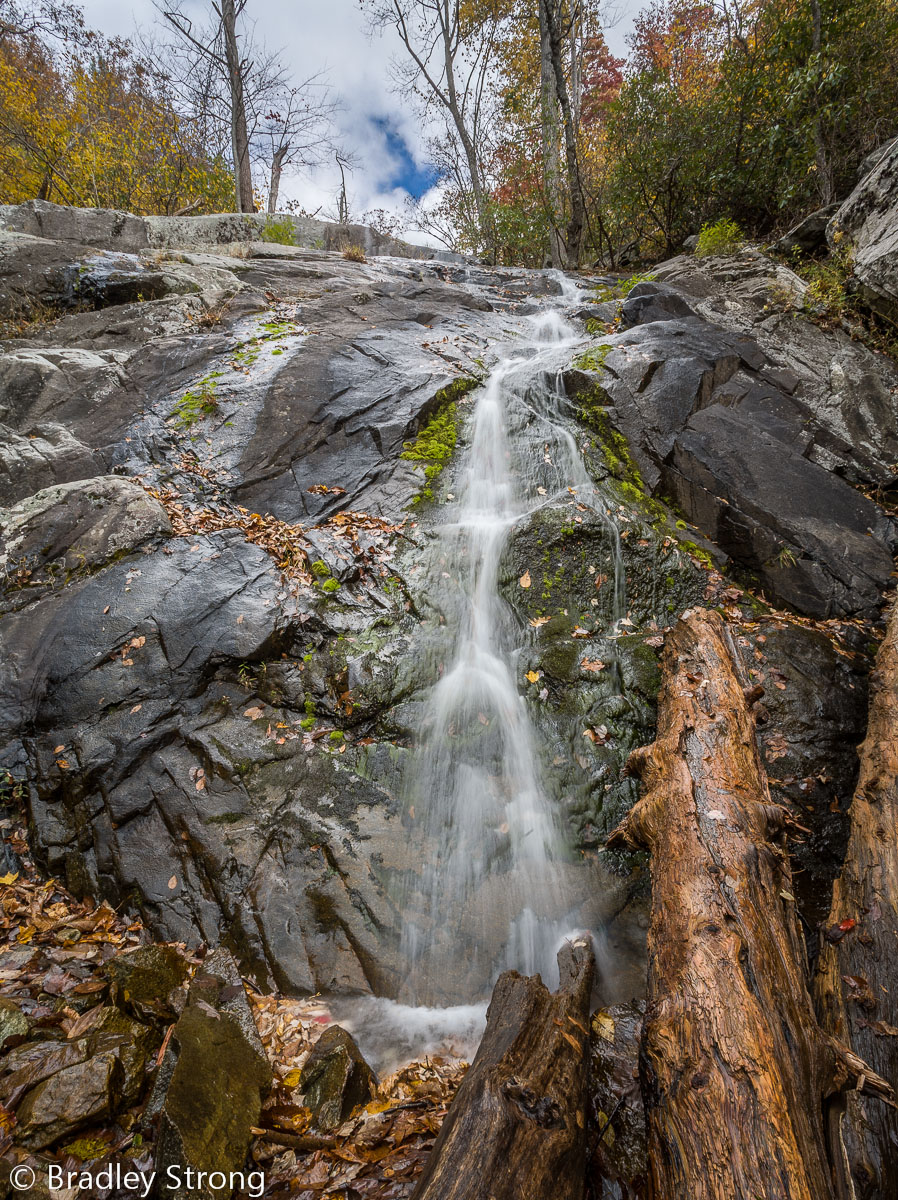 Slide Fall Logs - Repost
