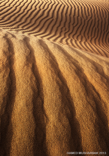 Silent Waves