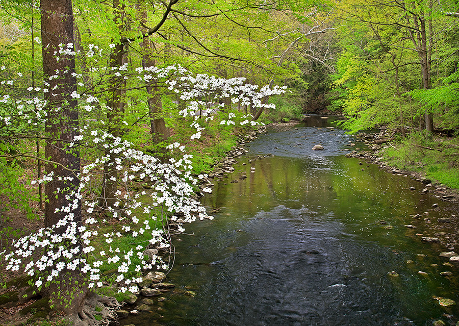 Mill Creek 