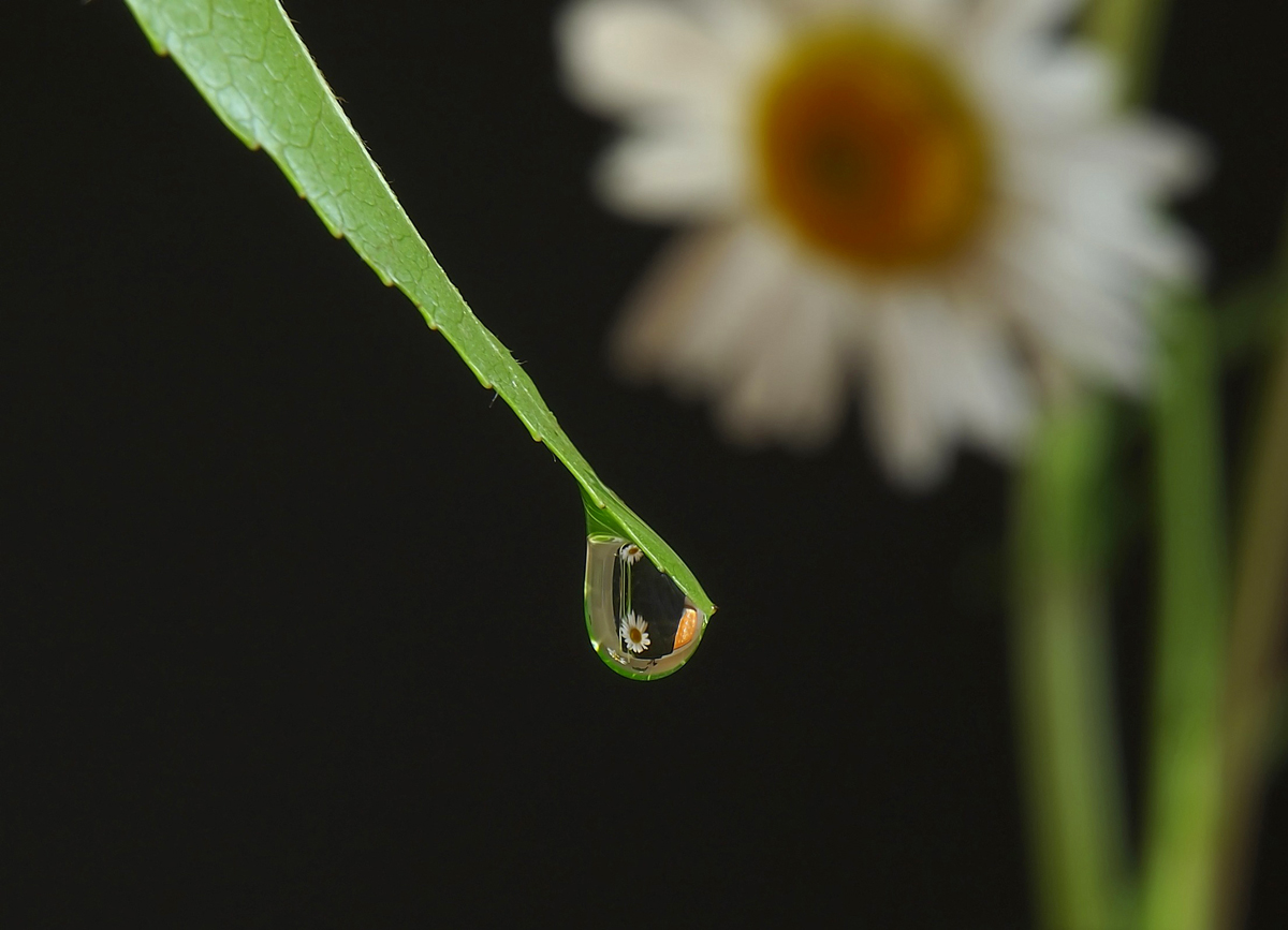 Studio Droplet (Repost)