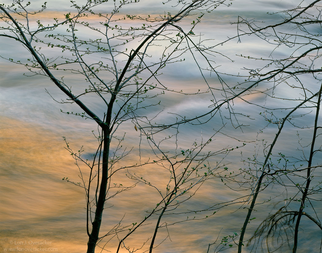Looking Thru +alt