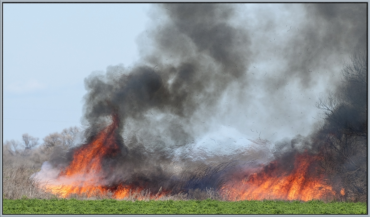 Use Fire Responsibly