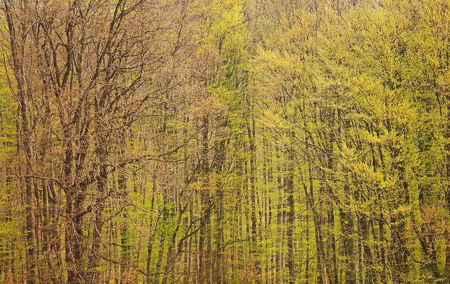 Transition