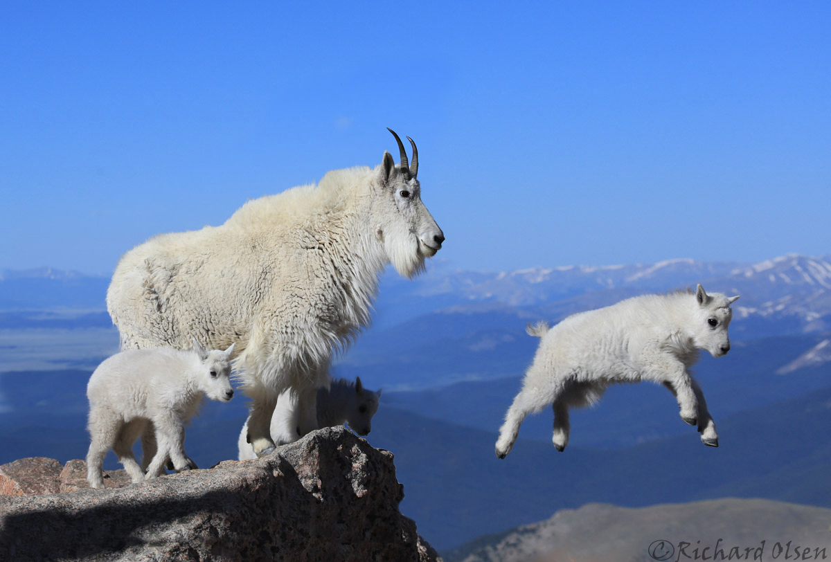 Leap of Faith