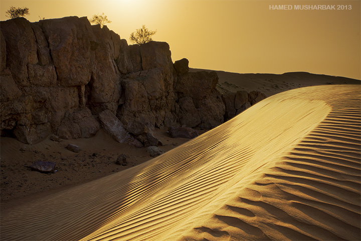 Golden Light