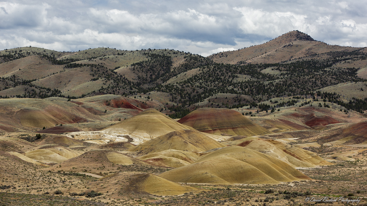 Painted Hills Scenic