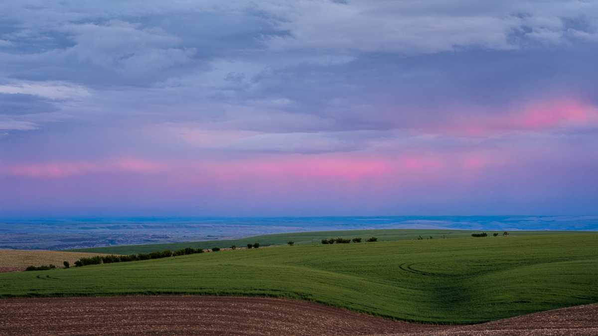 Palouse Sunset II