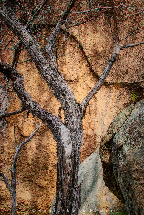 Withering + RAW