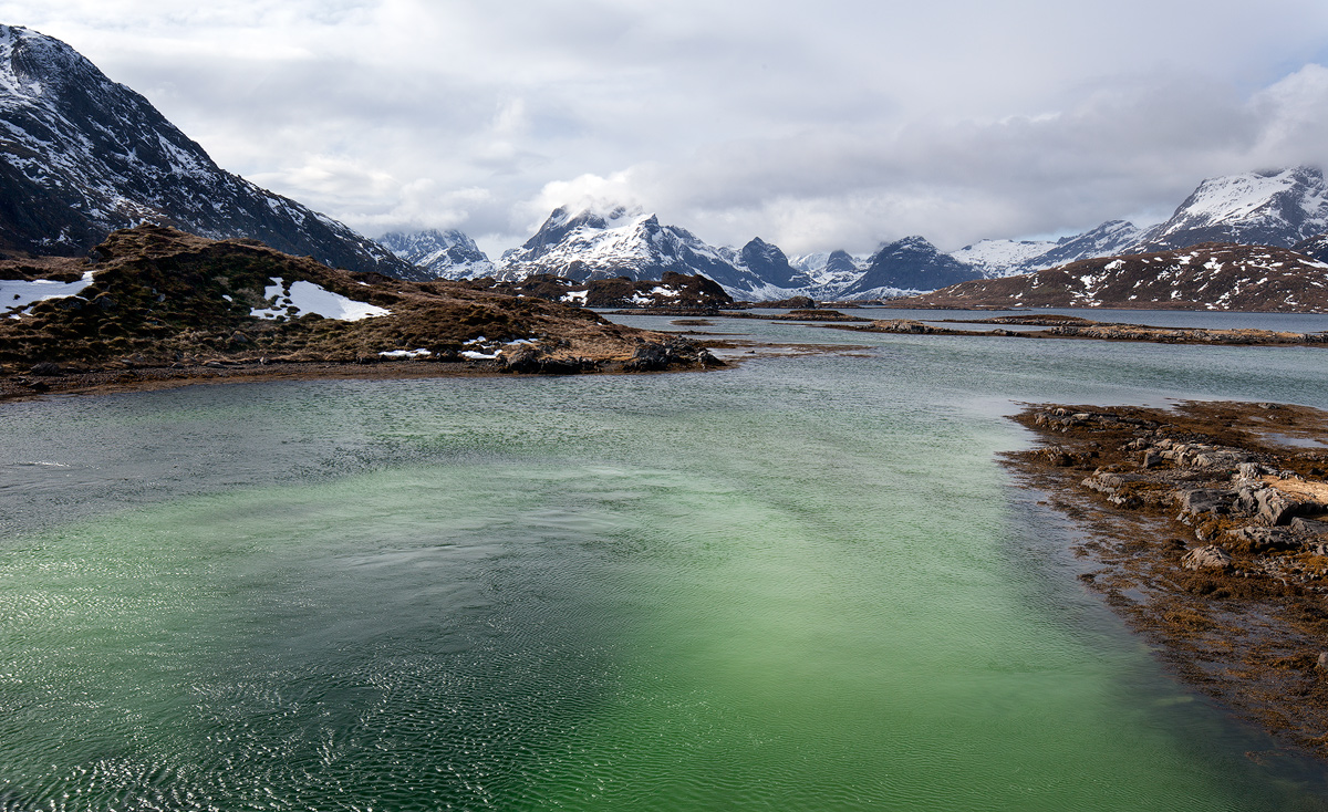 Selfjord Lofoten