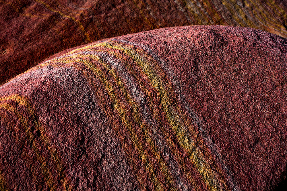 Nature's Art