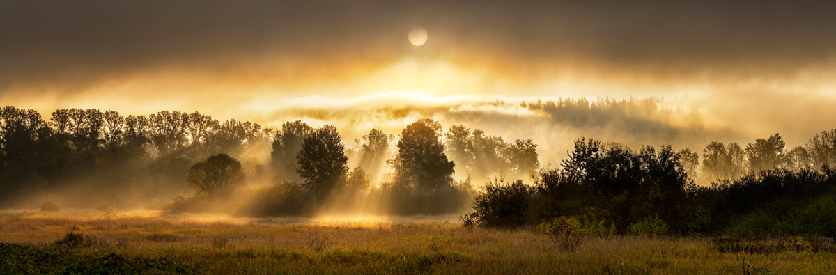 Sunrise Surprise