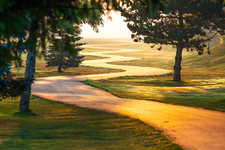 Path of Dreams