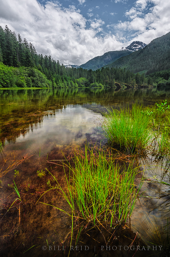 Crest Lake+ Repost
