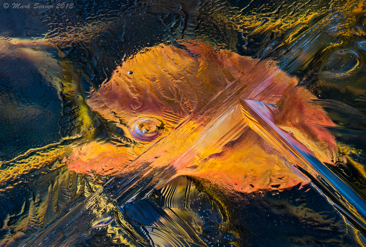 Icy Fishy +rpst