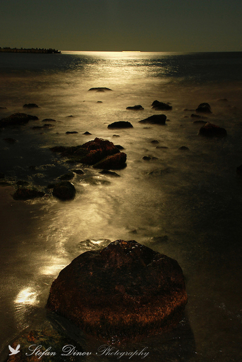 Moonlight