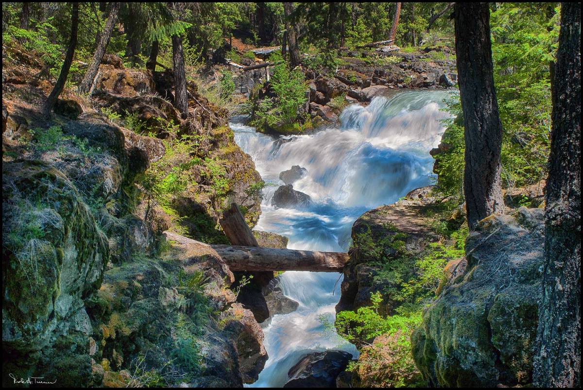 Rogue River Roars 