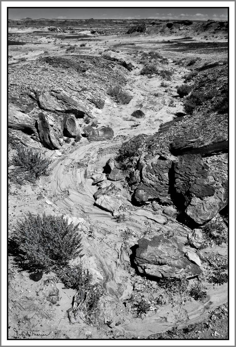 Bisti Badlands Washout
