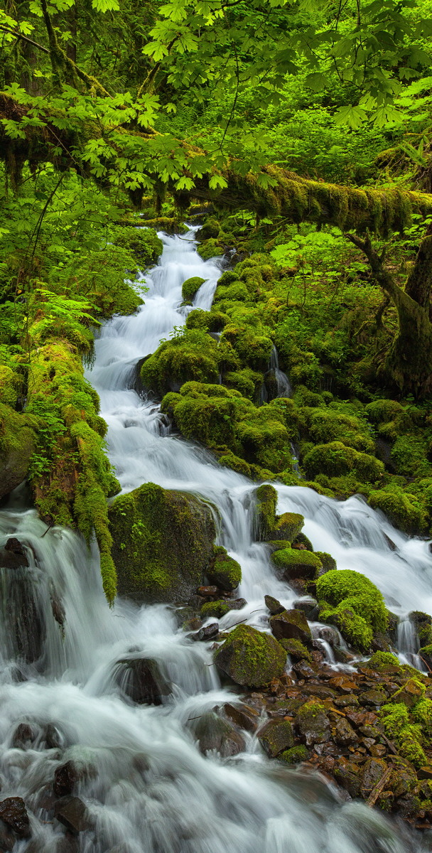 Wahkeena Creek