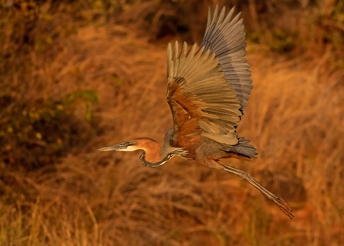 Fly Higher!