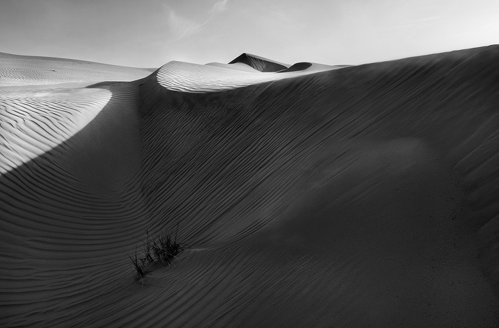 Light & shadow