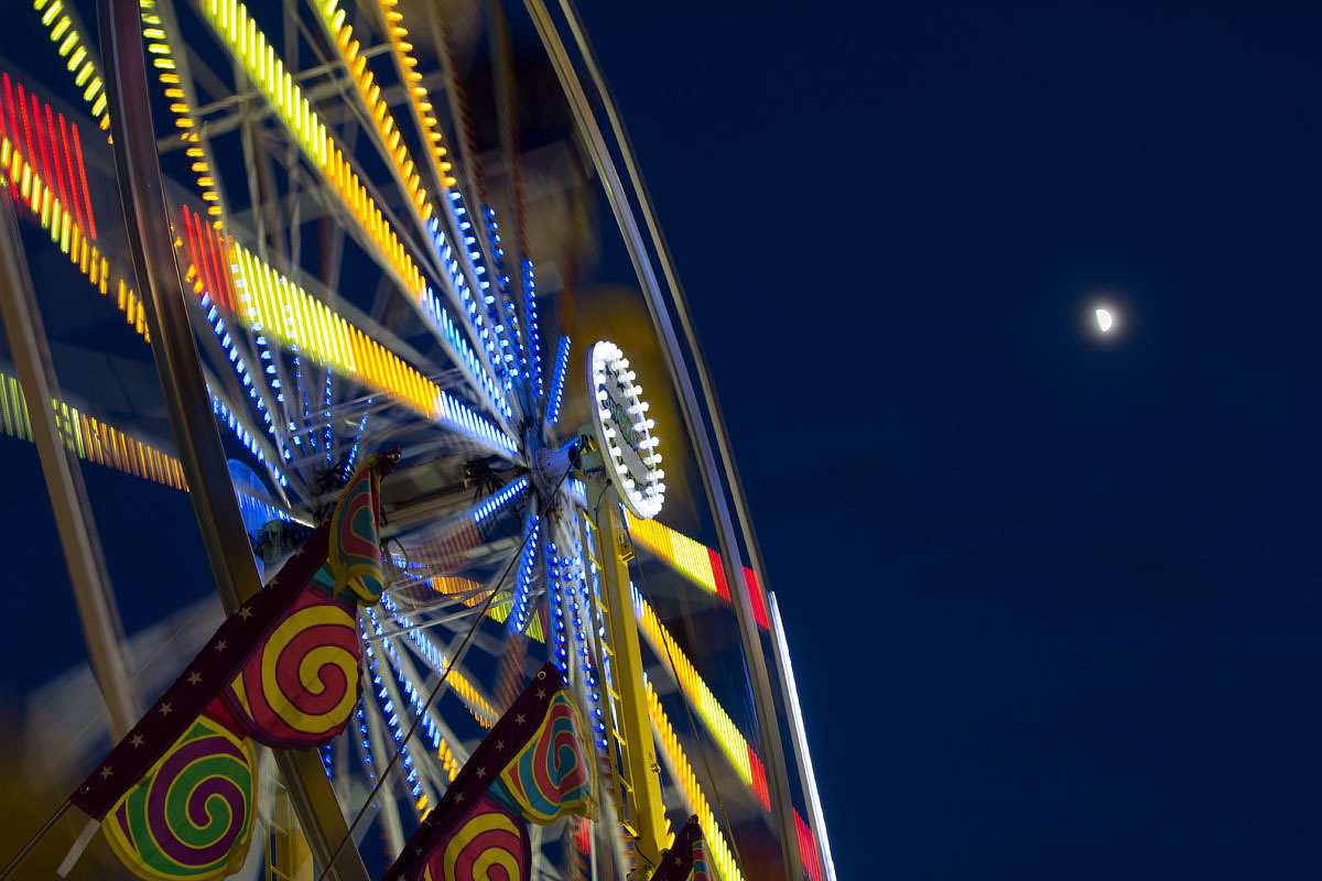 Fun at the Fair