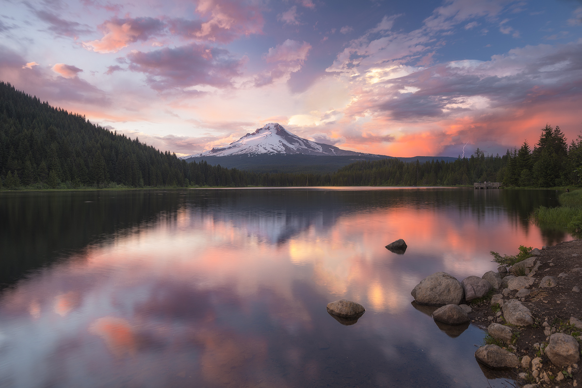 Trillium Lightning