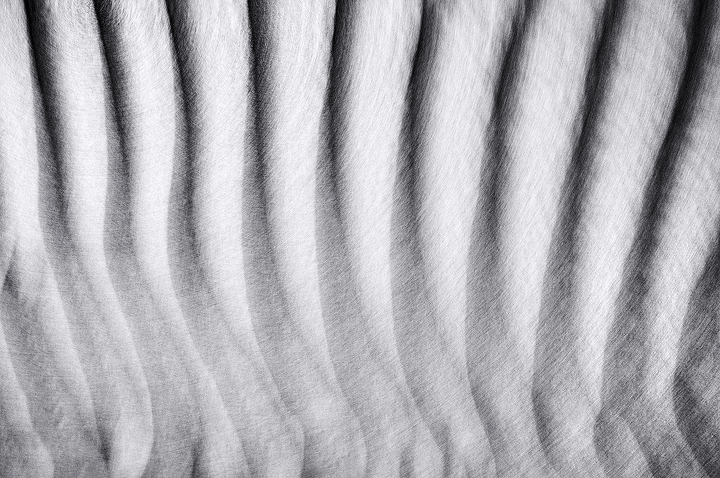 Motion Abstract 3