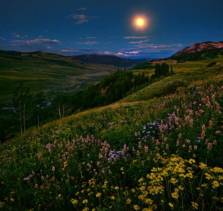 Gothic Moonlight + Repost