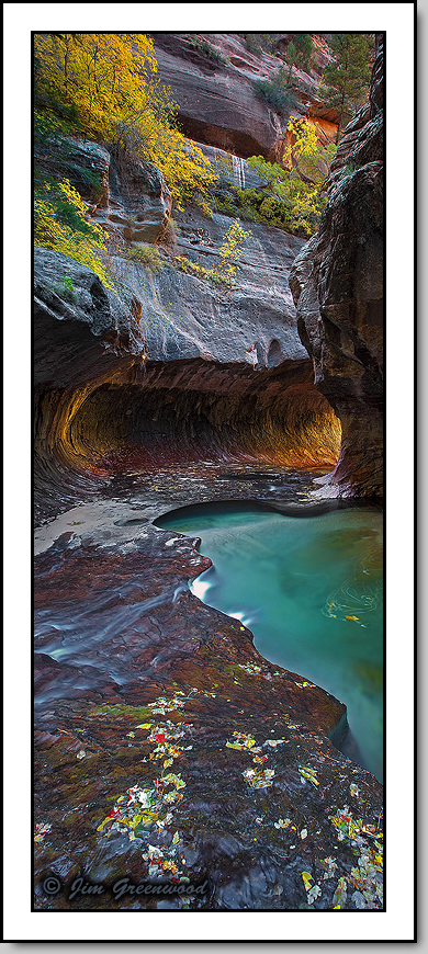 WC #594 - Subway Pano