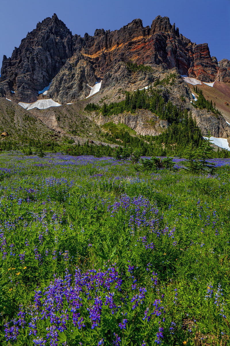 Three Fingered Jack