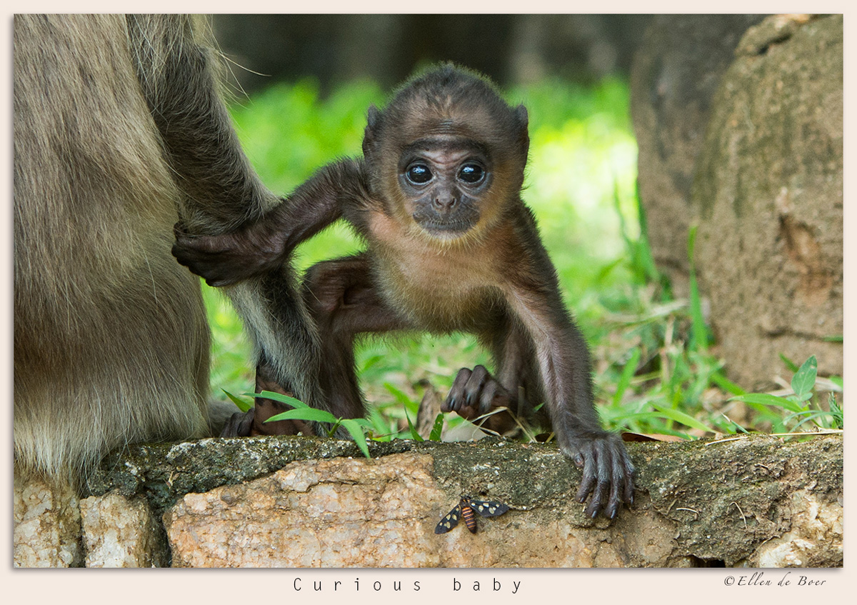 Curious baby...