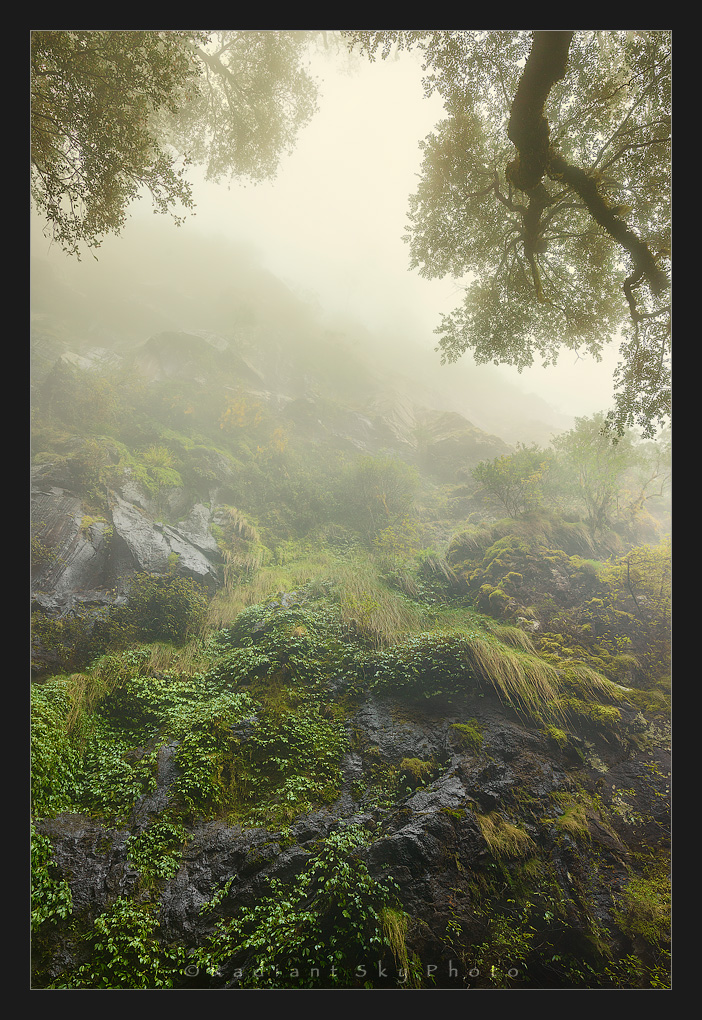 Weeping Within