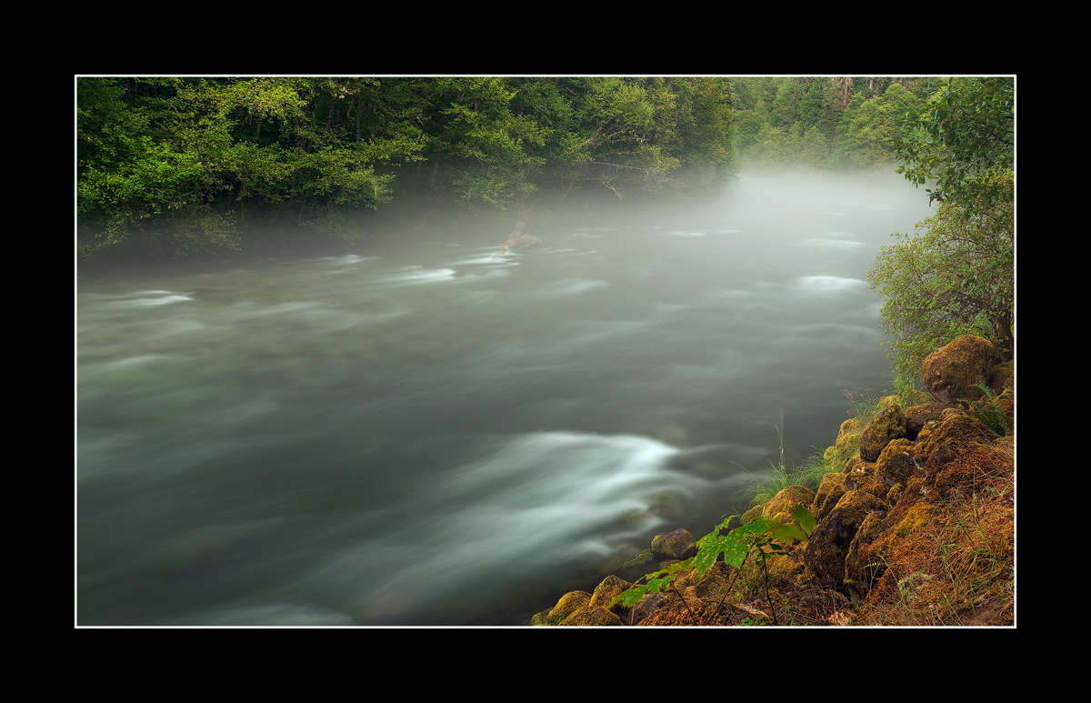 Along the McKenzie River 1
