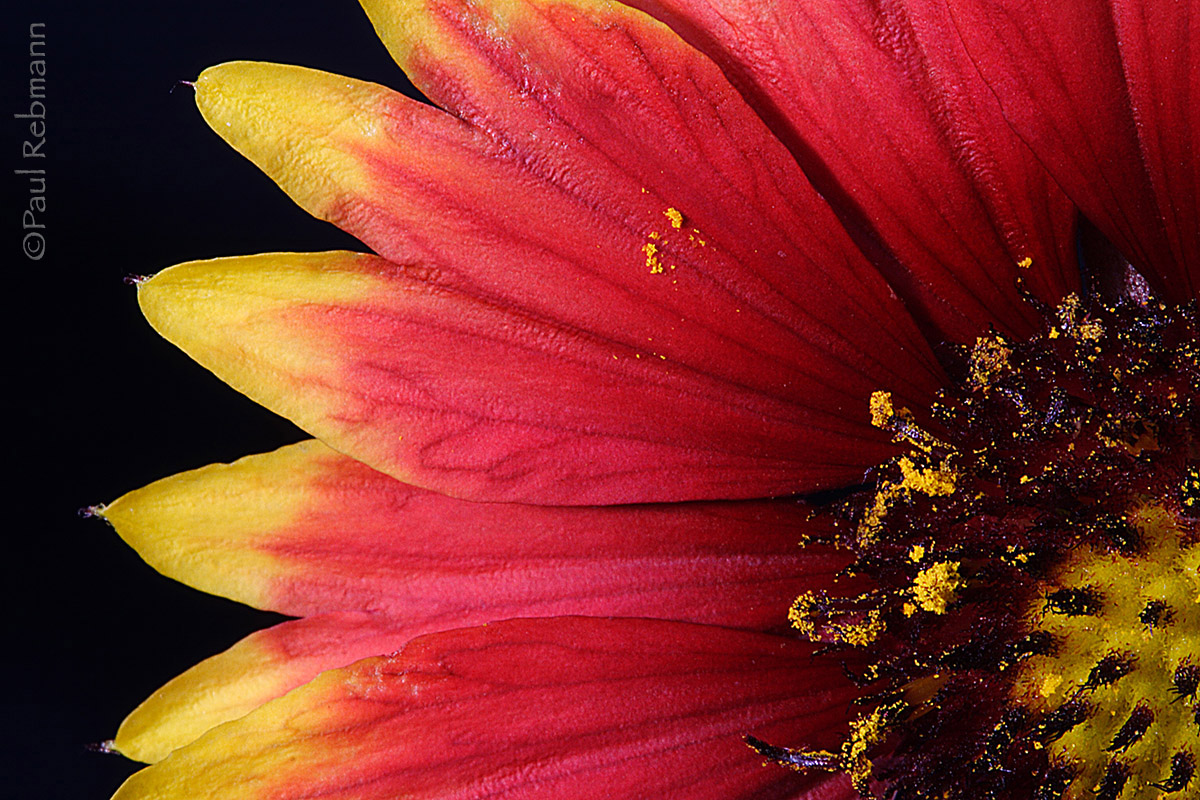 Fire Spokes