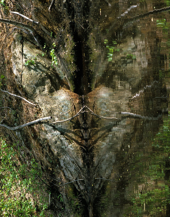 V for Vendetta