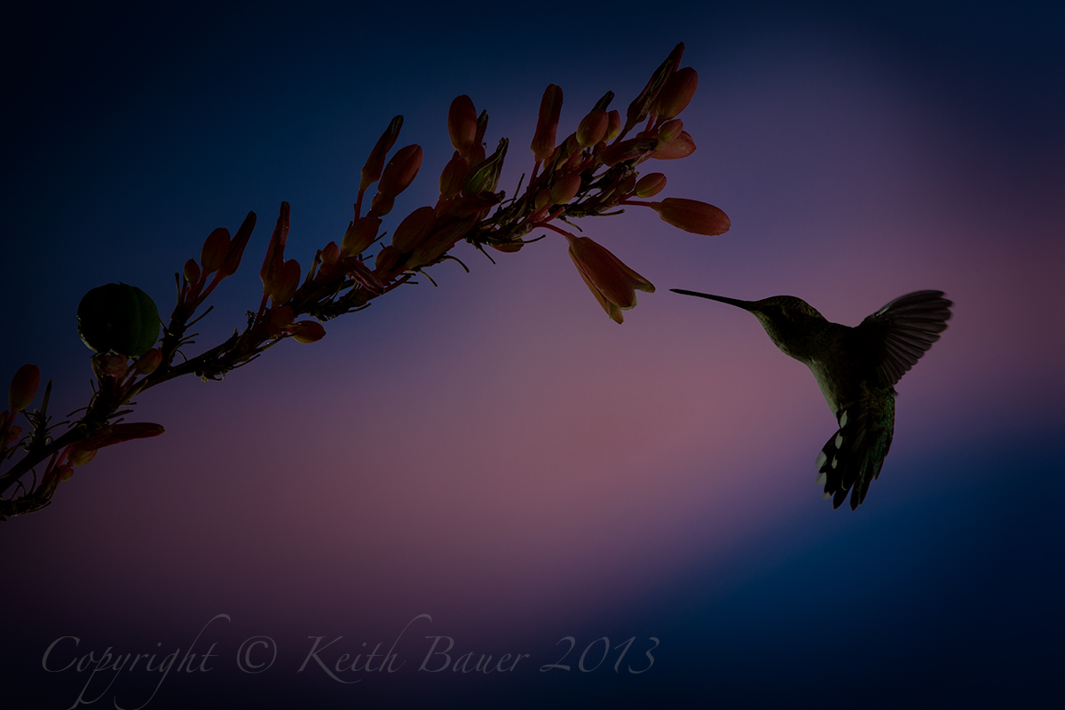 Sunset Hummer