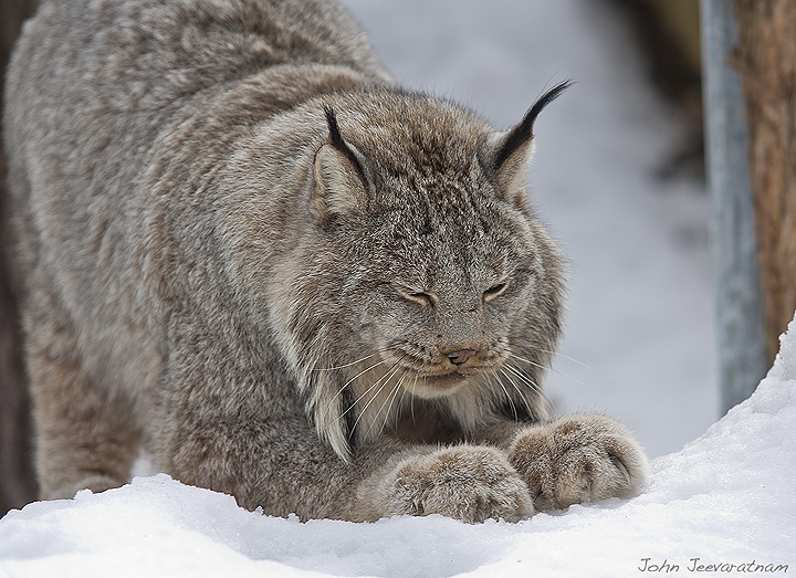 Morning Stretch