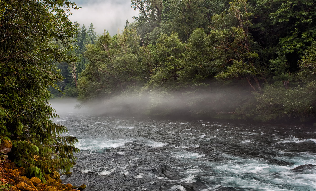 Along the McKenzie 2